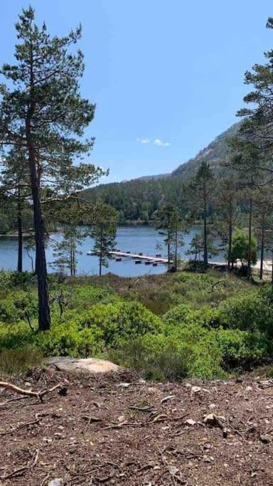 Cosy Cabin Between Lake And Mountain Treungen Buitenkant foto
