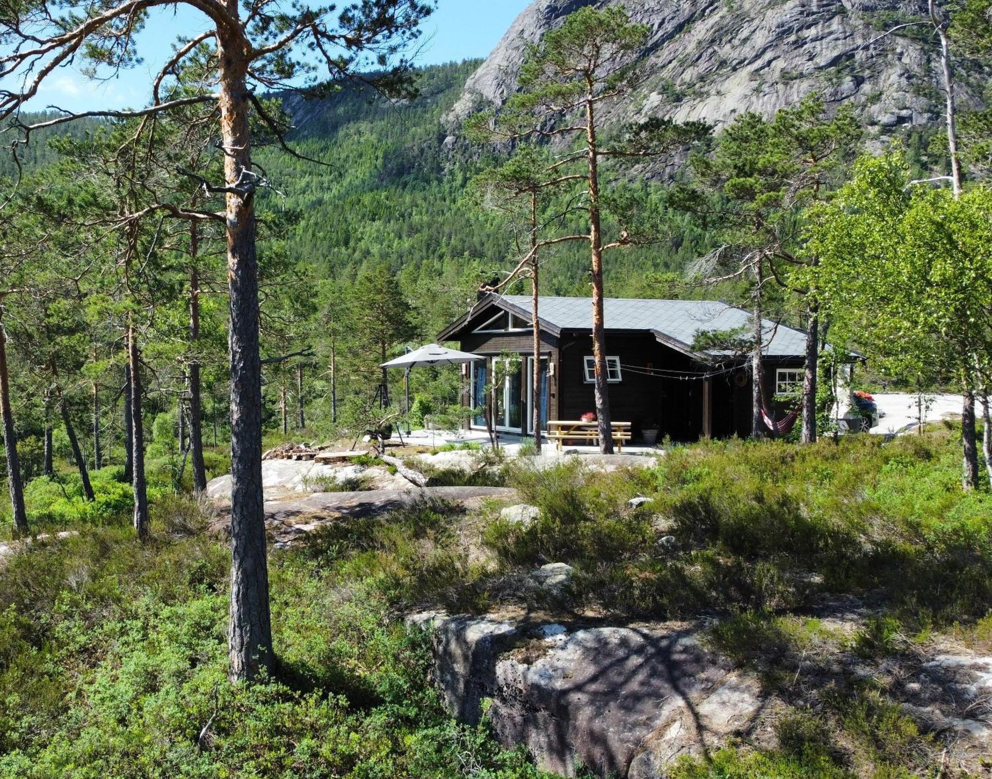 Cosy Cabin Between Lake And Mountain Treungen Buitenkant foto